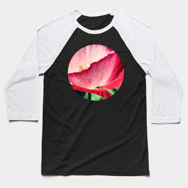 Red Poppy in Sunlight Baseball T-Shirt by micklyn